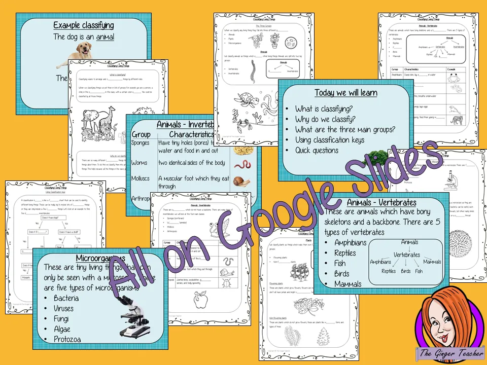 Classifying Living Things DIGITAL Lesson in Google Slides™