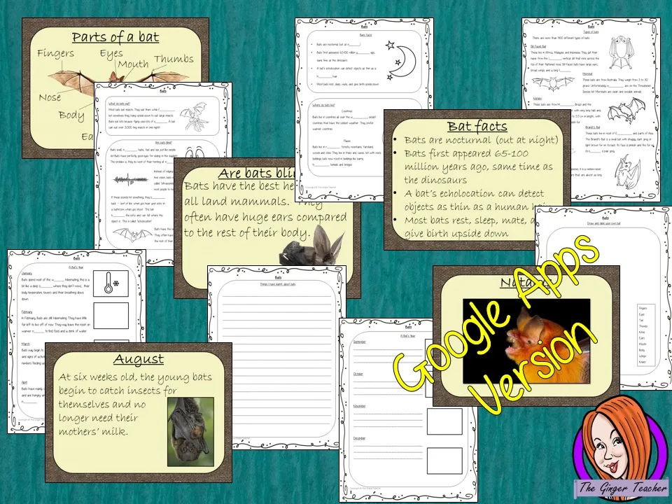 Distance Learning Bats Google Slides Lesson