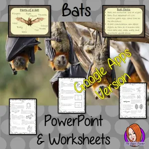 Distance Learning Bats Google Slides Lesson