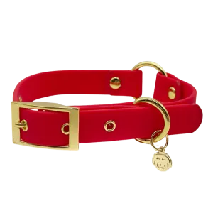 Ruby Red - Splashproof Dog Collar