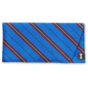 Saltaire - Eyeglass Cases