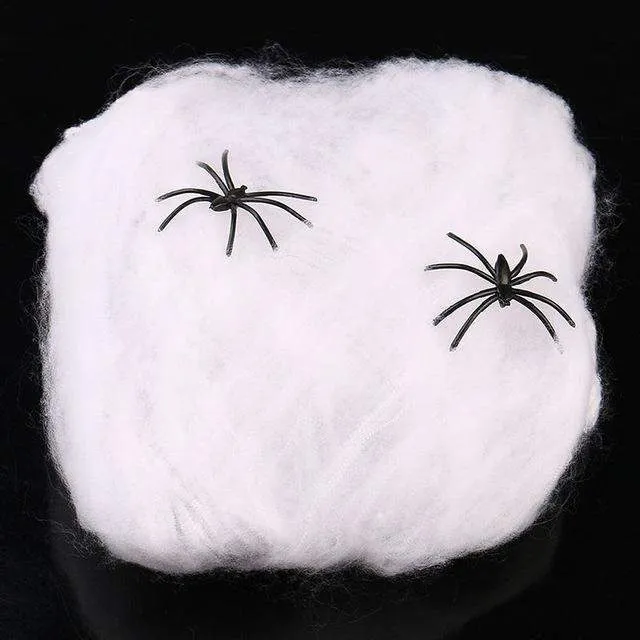 Stretchy Spider Web With Spider