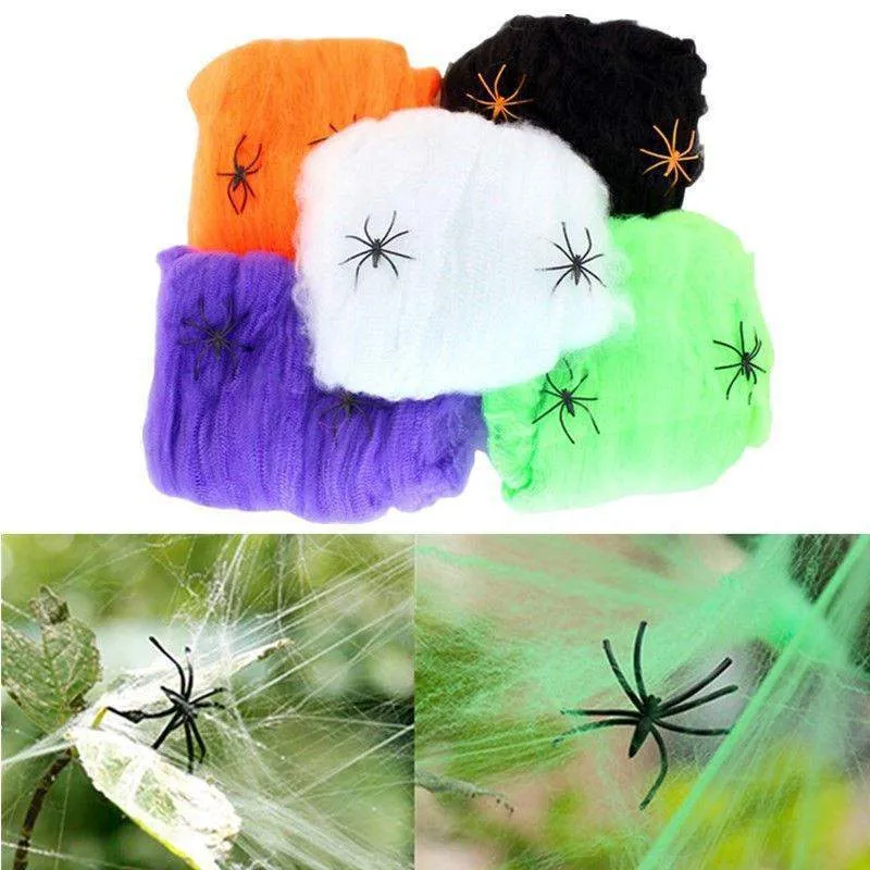 Stretchy Spider Web With Spider