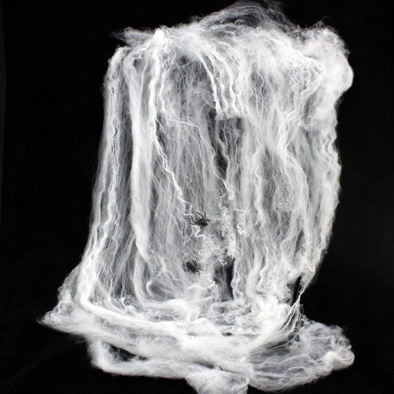 Stretchy Spider Web With Spider