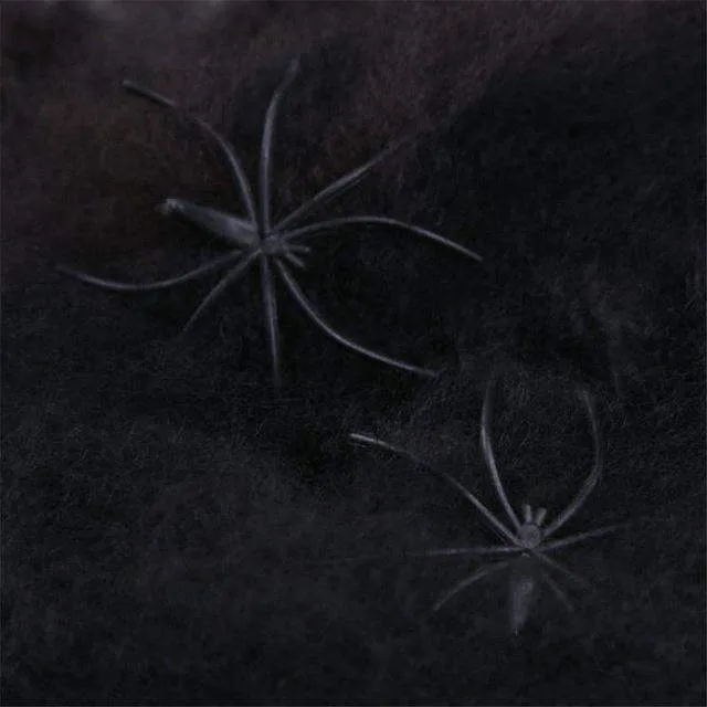 Stretchy Spider Web With Spider