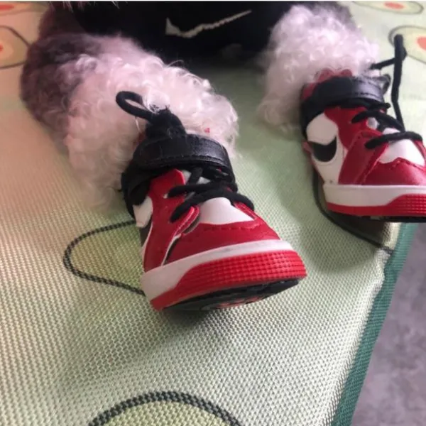 Swishy OG Bark Bred Sneakers