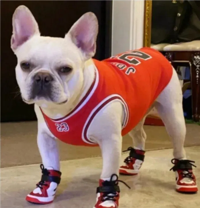 Swishy OG Bark Bred Sneakers
