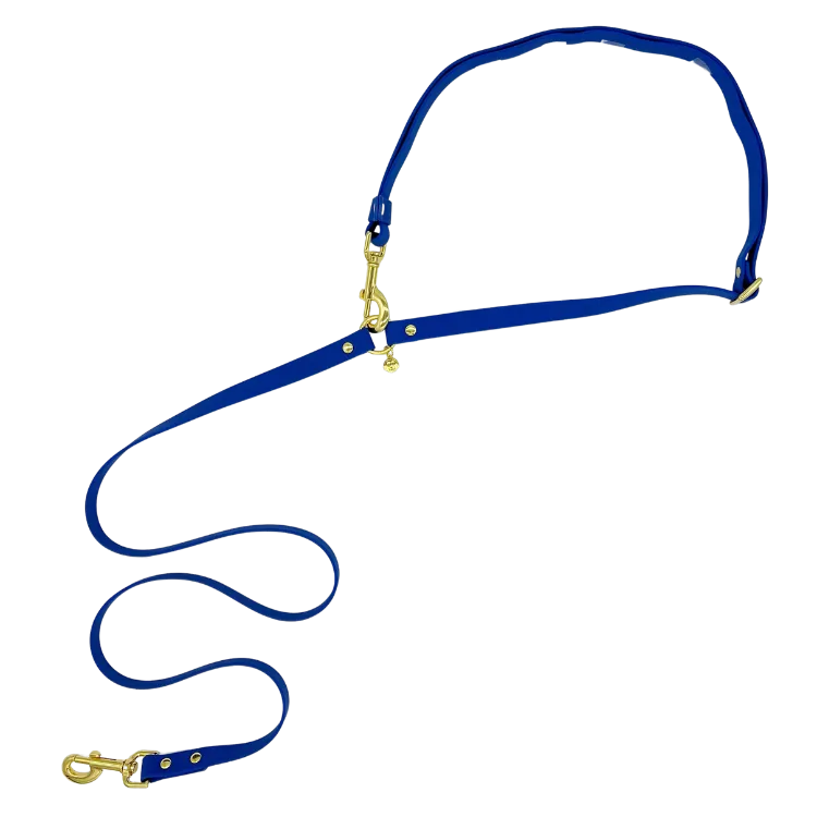 Zafiro - Splashproof Handsfree Dog Leash