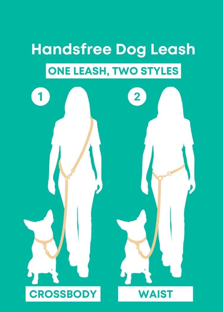 Zafiro - Splashproof Handsfree Dog Leash