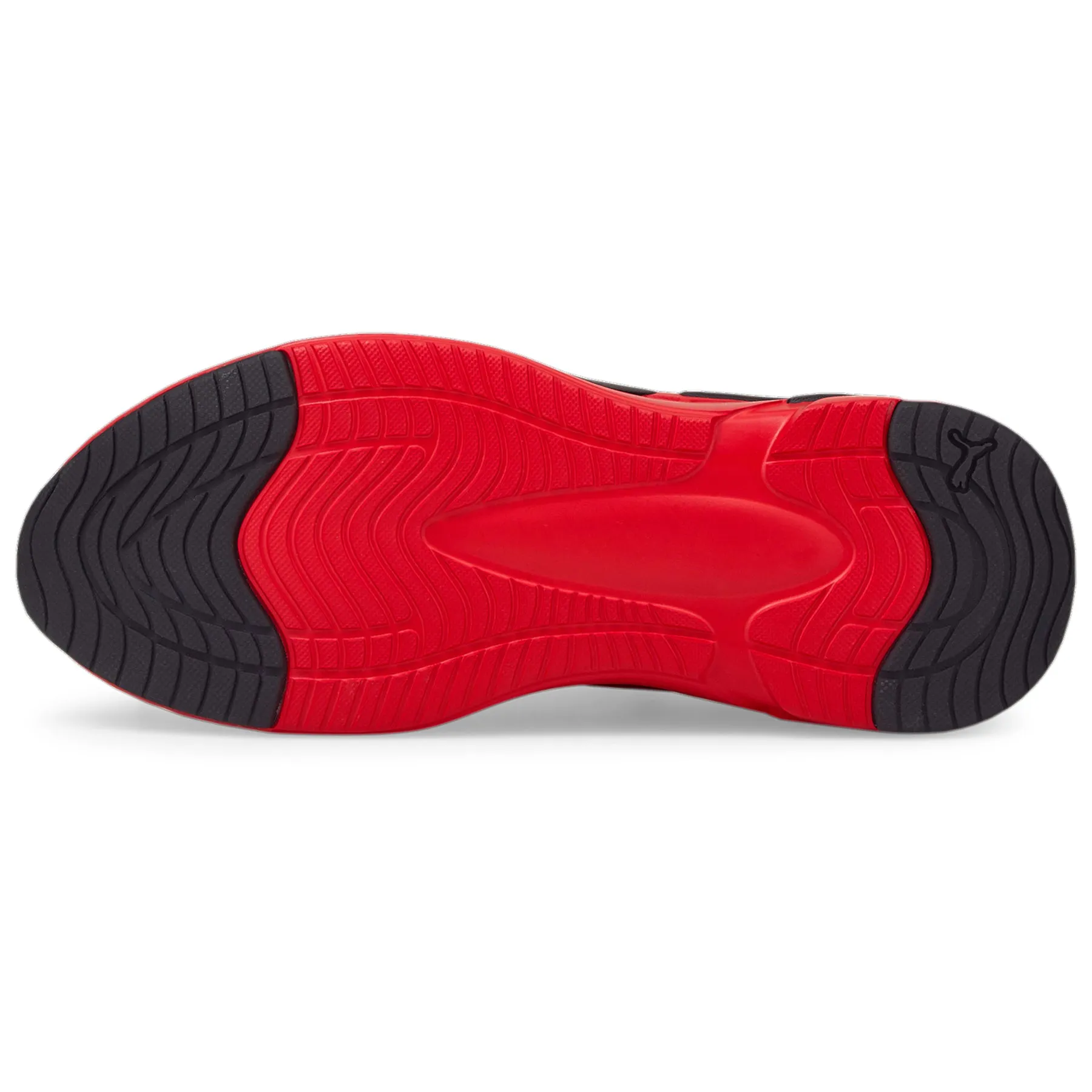 Zapatillas Puma Hombre Running Softride Premier Slip-On | 376540-02